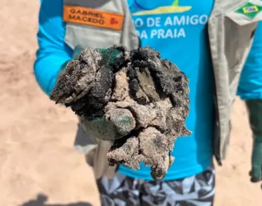 Óleo encontrado nas praias do Sul da Bahia coloca em risco a fauna marinha