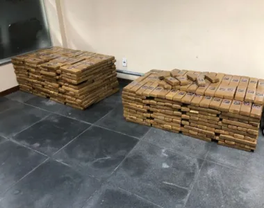 951 tabletes da erva prensada foram aprendidas pela Polícia Militar em Feira de Santana.