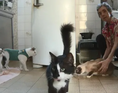 Iacina luta contra um câncer e cuidava dos animais em um apartamento usado apenas para os gatos