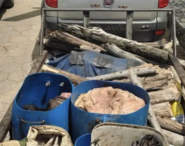 Noventa quilos de carne clandestinos são apreendidos na Bahia
