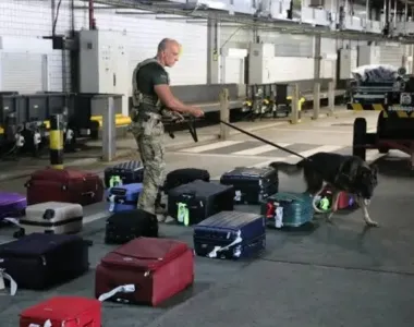 Cães treinados participam de ação no Aeroporto de Salvador