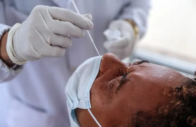 Imagem ilustrativa da imagem 