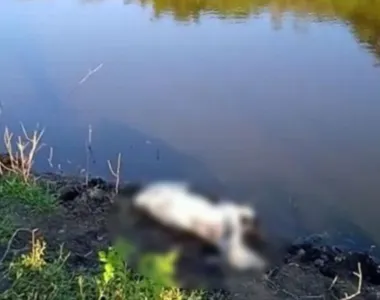 Homem e cavalo morrem afogados em represa