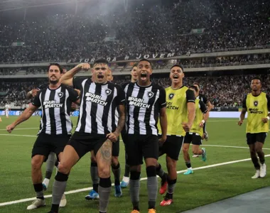 Botafogo segue imparável no Brasileirão