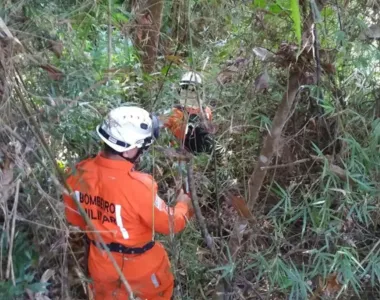 Mulher estava em região de mata em Porto Seguro
