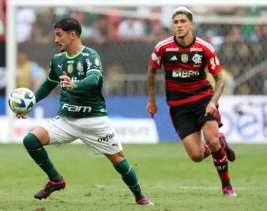 Palmeiras e Flamengo se enfrentam neste sábado