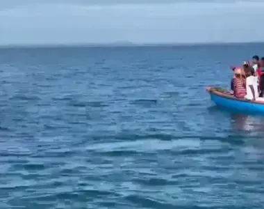 Após quase três horas, os pescadores conseguiram fazer com que ela voltasse ao mar