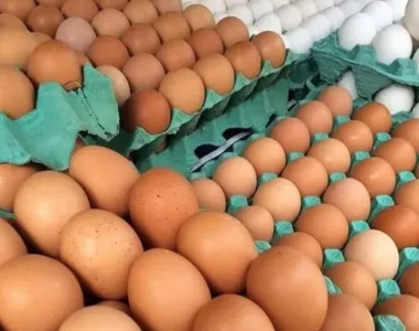 Ovos de galinha estão 23% mais caros em um ano