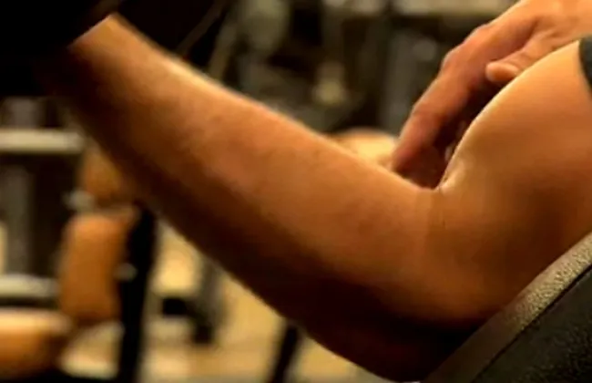 Imagem ilustrativa da imagem 