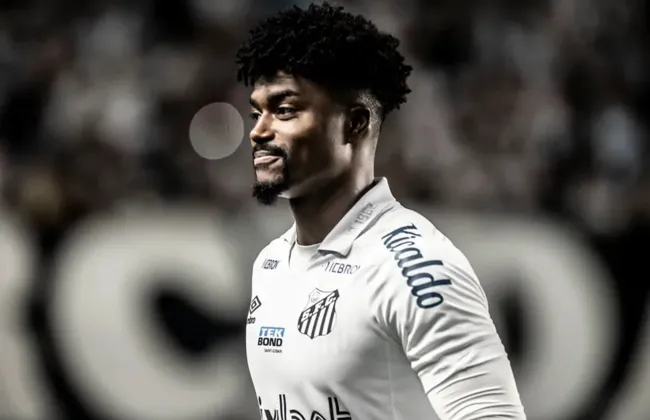 Imagem ilustrativa da imagem 