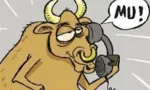 Imagem ilustrativa da imagem 