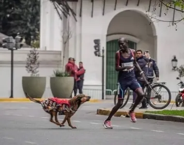 Registro de Robert Kimutai Ngeno sendo atacado por um cachorro
