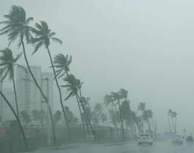 Chuva causa congestionamentos e acende alerta da Codesal