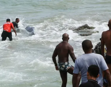 Banhistas e pescadores ajudaram a resgatar o animal