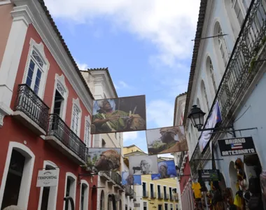 Aberto ao público, evento movimento em alta o turismo local