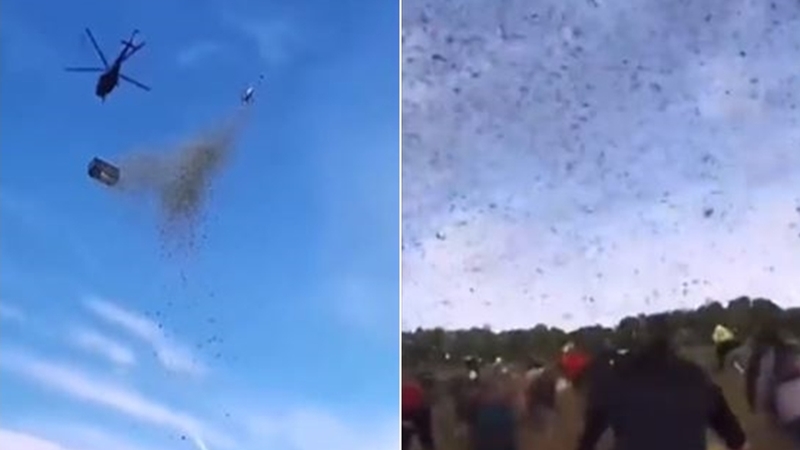 Assista: bilionário joga bolada ao vento pra seduzir pessoas | Portal Massa