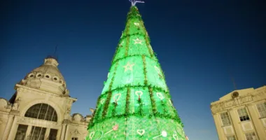 Imagem ilustrativa da imagem Árvore feita com 27 mil garrafas recicladas será montada no Comércio