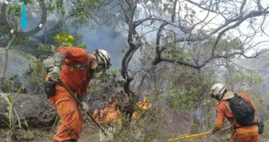 Imagem ilustrativa da imagem Cerca de 200 bombeiros militares atuam no combate a incêndios na Bahia