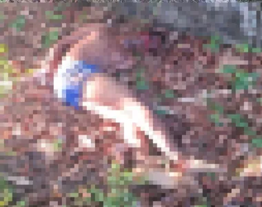 O rosto do homem foi desfigurado durante o assassinato