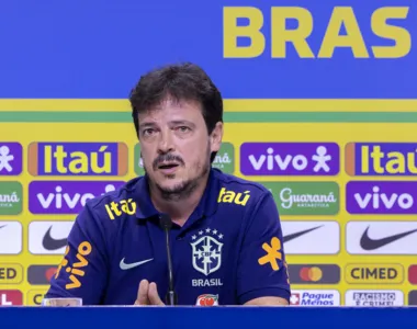 Fernando Diniz em convocação do Brasil