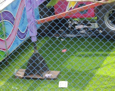 Desabamento deixou feridos no parque localizado no bairro de Cajazeiras