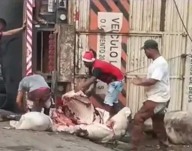 Populares saquearam a carga e abateram animais