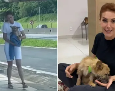 Ana Hickmman resgata animal à beira de uma estrada