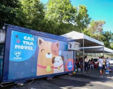 Animal só poderá realizar o procedimento caso esteja em jejum