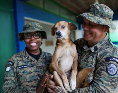 Doguinho foi abandonado pelos tutores e adotado na sede da Coppa