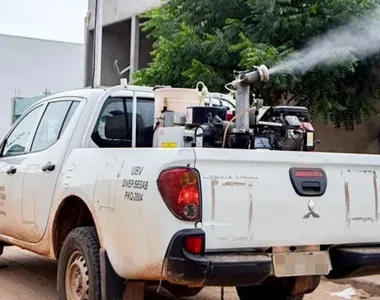 Fumacê é utilizado onde há alta infestação do mosquito
