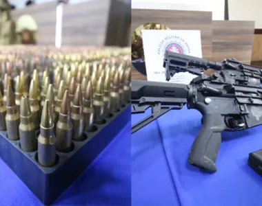 No total, ações das Polícias Militar e Civil, além da FICCO, encontraram 496 armas no primeiro mês de 2024