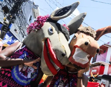 Festa tradicional do bairro de Salvador mistura humor e luta