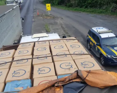 Materiais foram encontrados escondidos em um caminhão