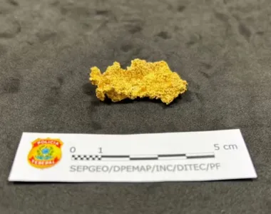 Pepita encontrada com Waldemar Costa Neto