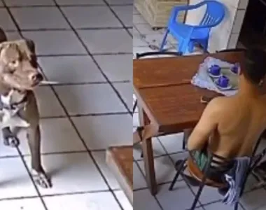 Cachorro Bolt com faca em frente ao seu tutor