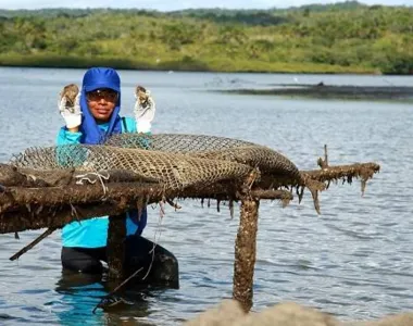 Projeto será lançado na cidade se Feira de Santana