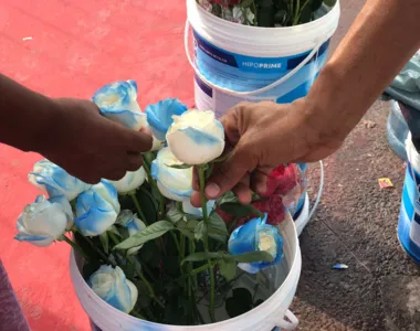 Flores fazem sucesso na festa de Iemanjá