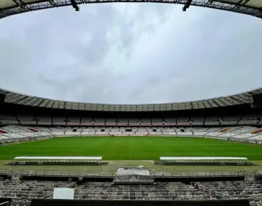 Gramado do Mineirão para 2024