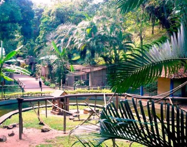 As atividades do Zoológico retornam na próxima quinta (15)