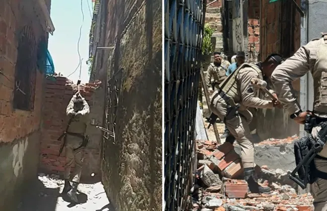 Imagem ilustrativa da imagem 