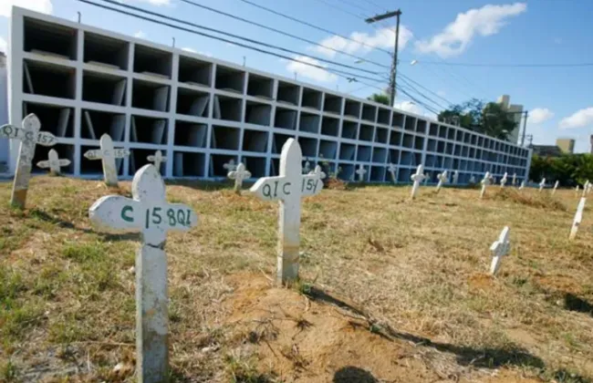 Imagem ilustrativa da imagem 