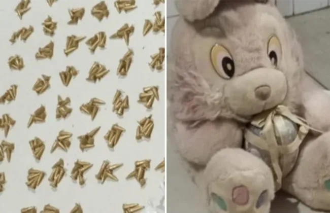 Imagem ilustrativa da imagem 