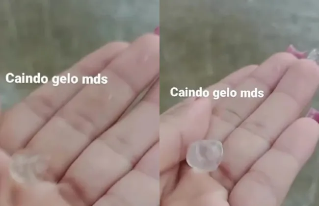 Imagem ilustrativa da imagem 