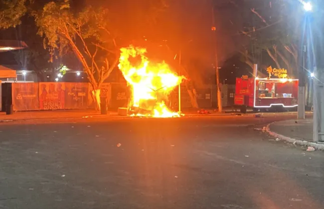 Imagem ilustrativa da imagem Iza para show por conta de incêndio no Afropunk