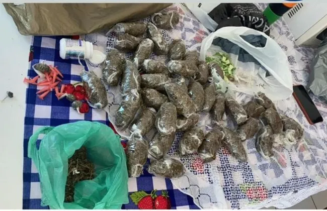 Imagem ilustrativa da imagem 