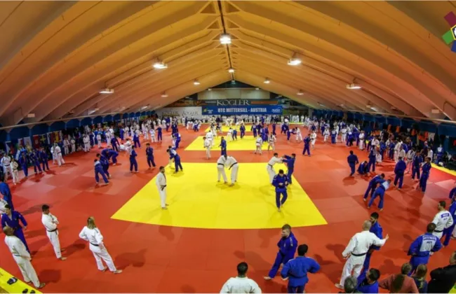 Imagem ilustrativa da imagem 