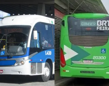 Ônibus foram vistos em rodovia