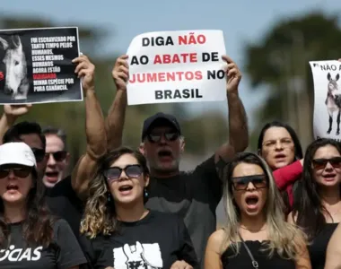Liderança da Frente Nacional de Defesa dos Jumentos afirmou que prática representa risco à saúde pública