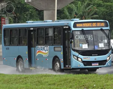 Cidades de Madre de Deus, Candeias e São Francisco do Conde podem amanhecer sem buzu nesta terça-feira (4)