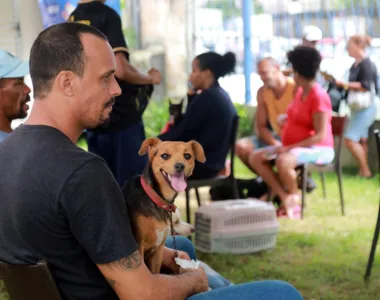 Agendamento para o Castramóvel é realizado de forma presencial